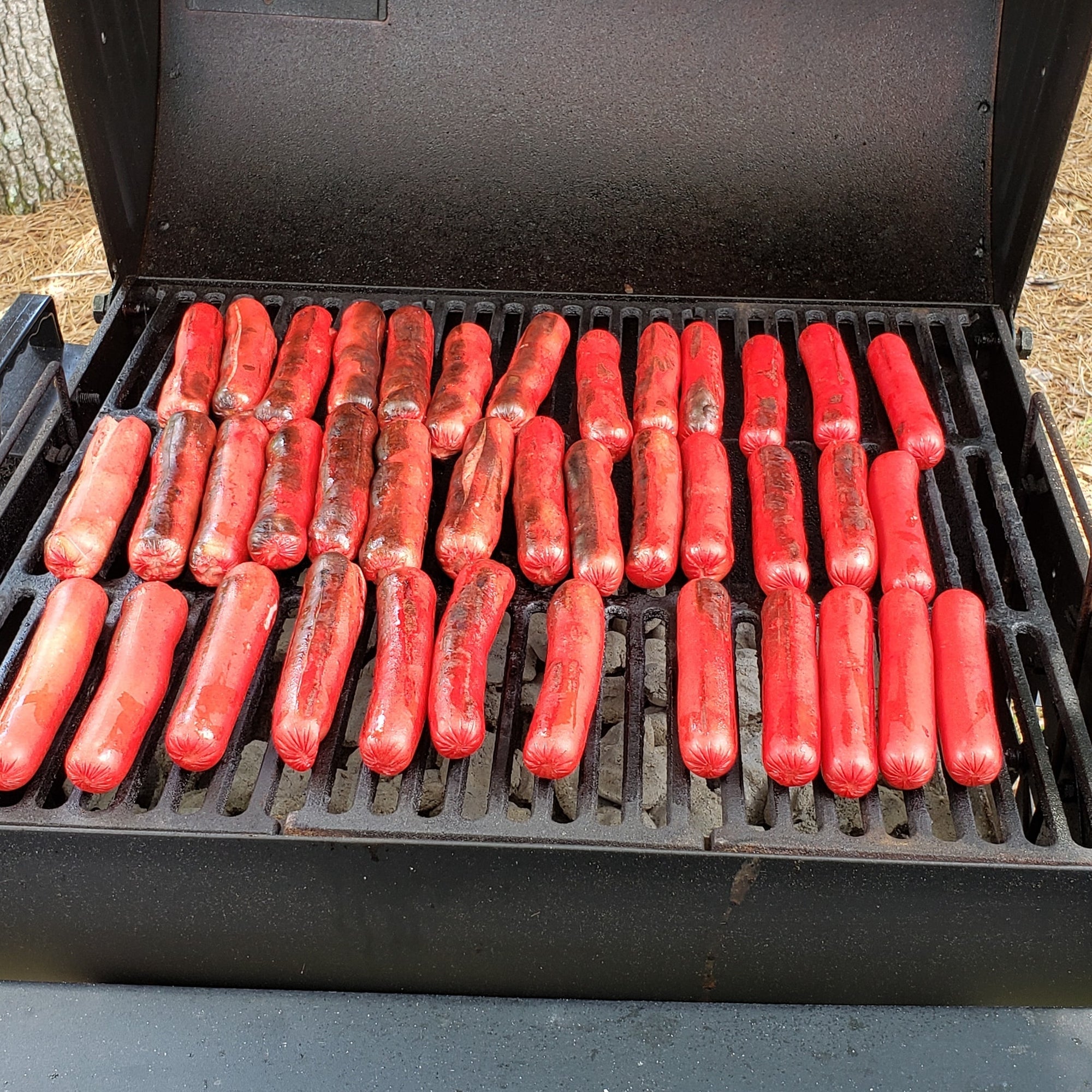 How to Grill Bright Leaf Hot Dogs